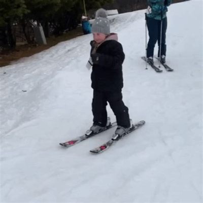 初次滑雪怎麼滑 當初我滑雪時的傻囀